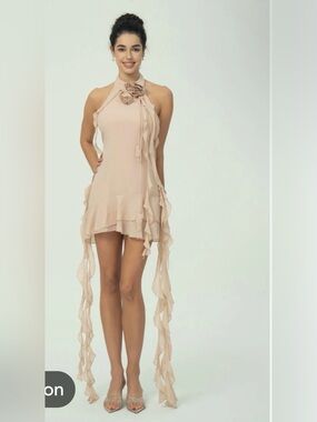 $10gift😍Soft Blush Ruffle Chiffon mini Low back romance Halter dress w Roses